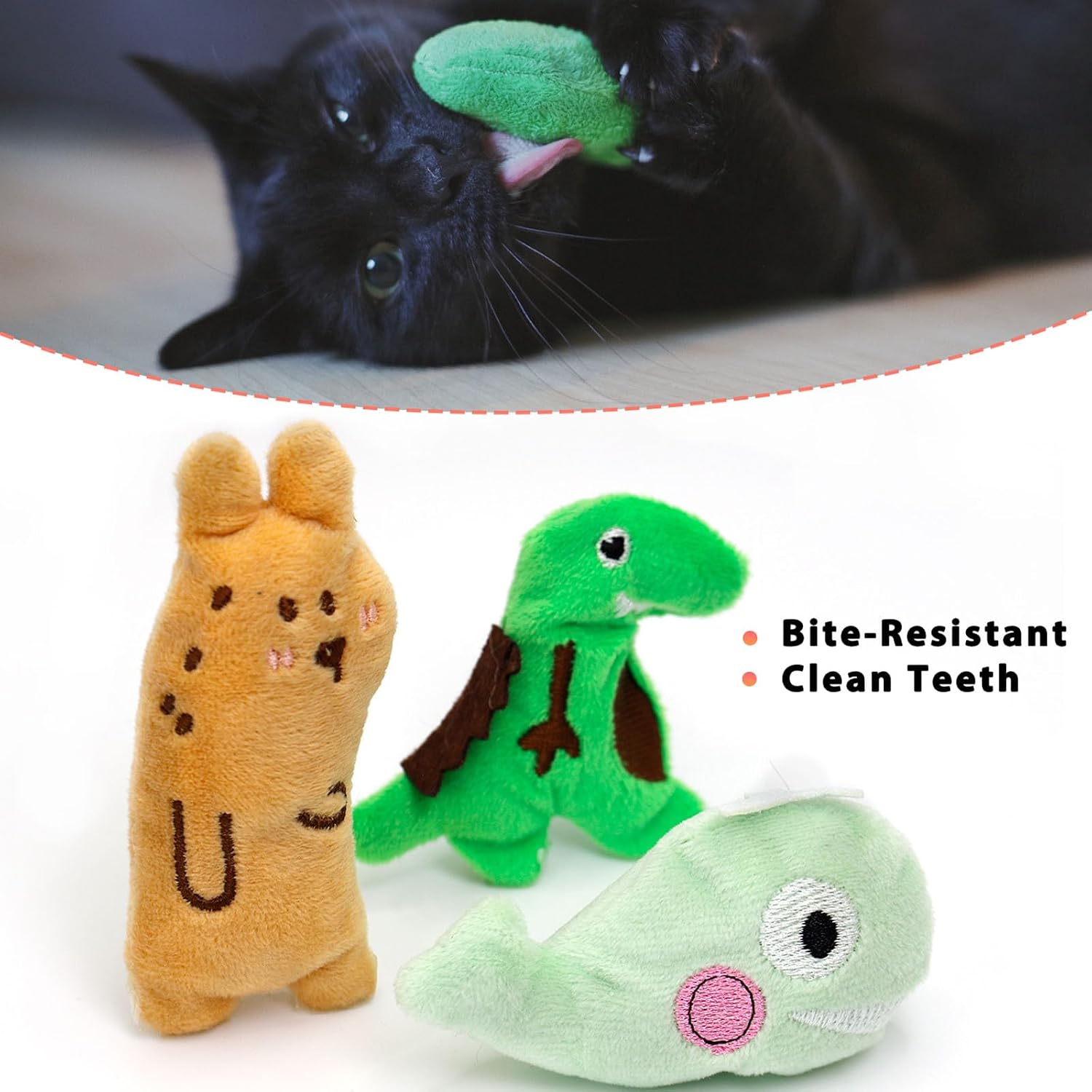 Indoor cat playing with a green dinosaur crinkle sound cat toy.
