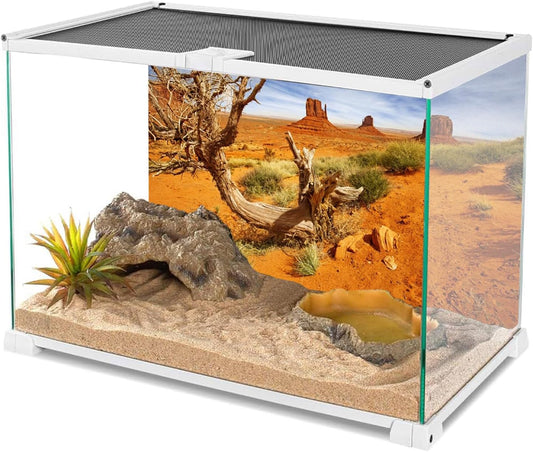 AWERT desert terrarium scenery poster showing high definition details