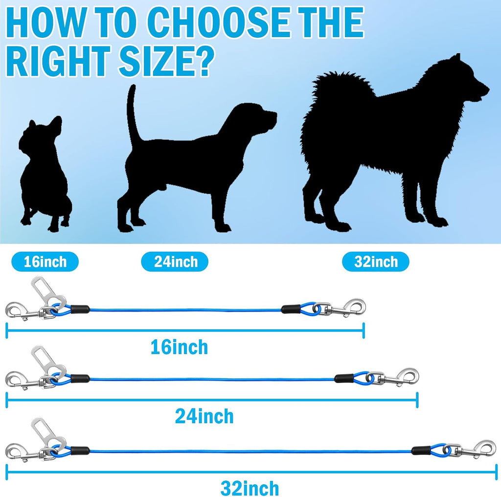 Small dog secured with blue HaiYUAN car safety leash