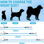 Small dog secured with blue HaiYUAN car safety leash