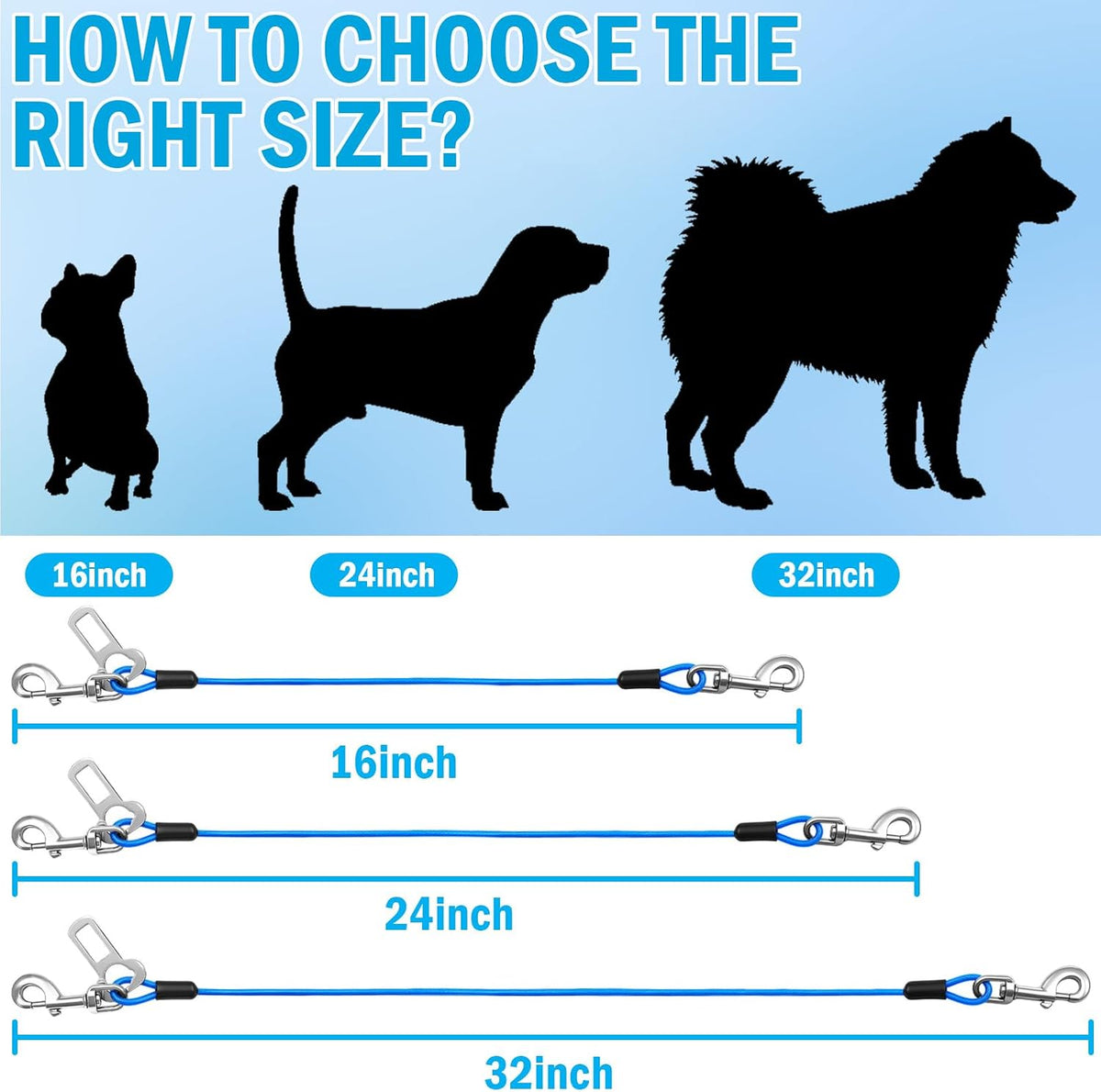Small dog secured with blue HaiYUAN car safety leash