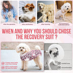 SlowTon anti-licking cone alternative suit for dogs recovering from spay or neuter procedures.