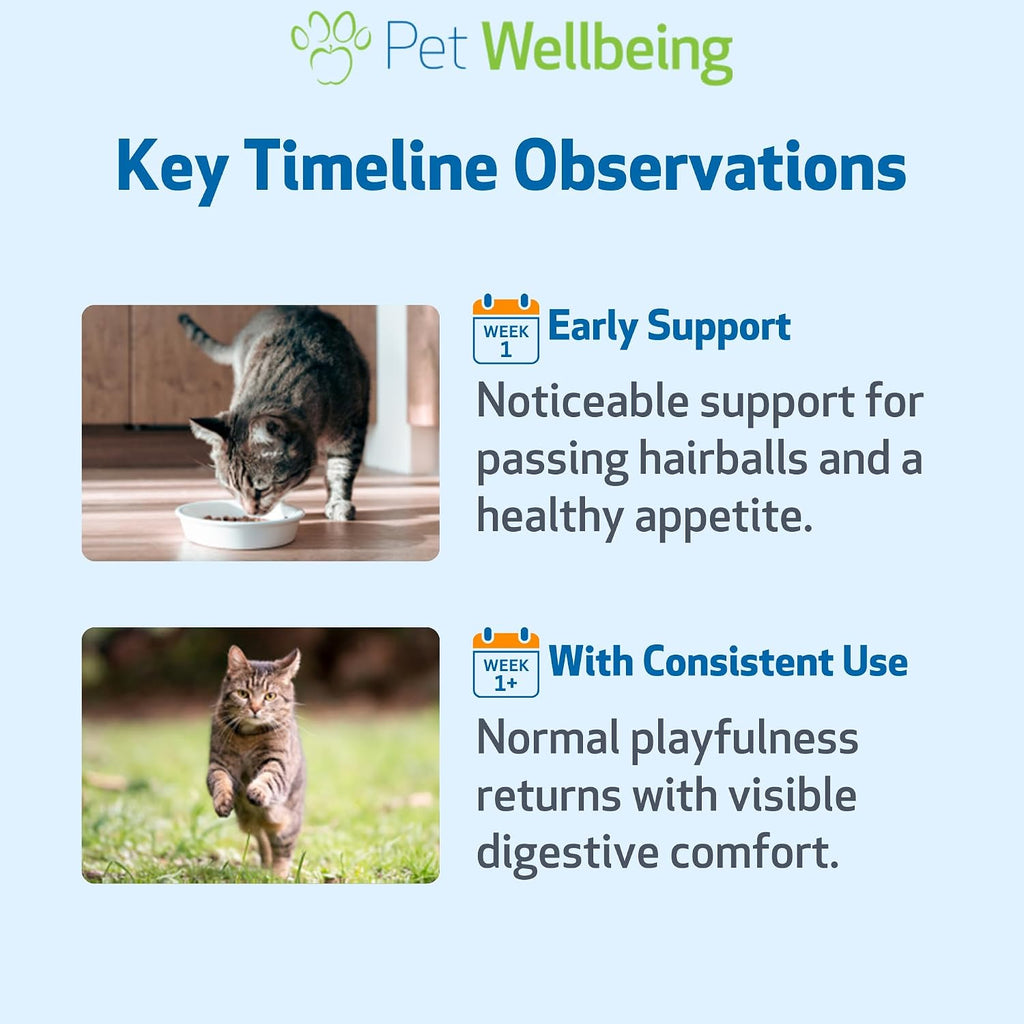 Pet Wellbeing liquid cat supplement dropper tool