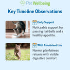 Pet Wellbeing liquid cat supplement dropper tool