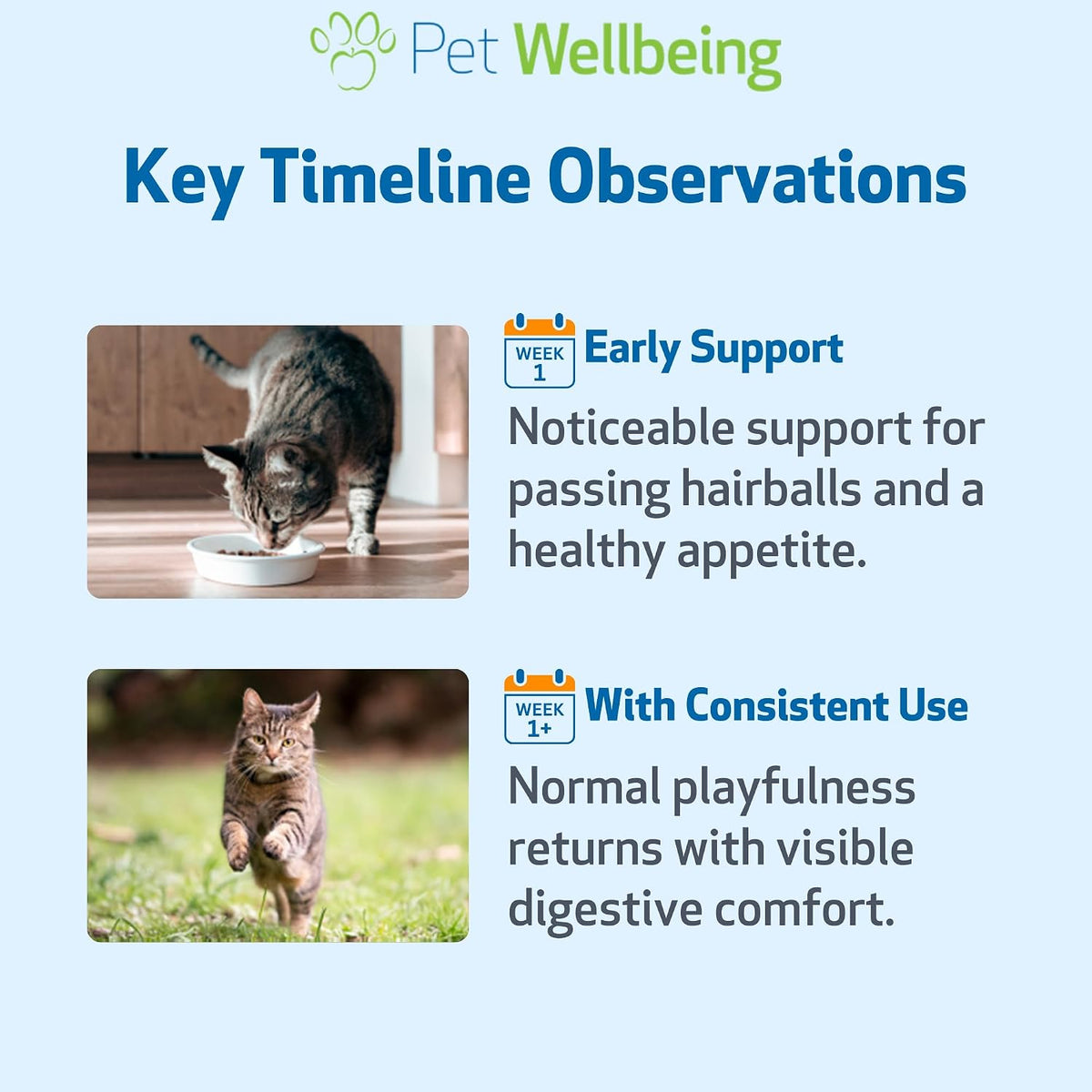 Pet Wellbeing liquid cat supplement dropper tool