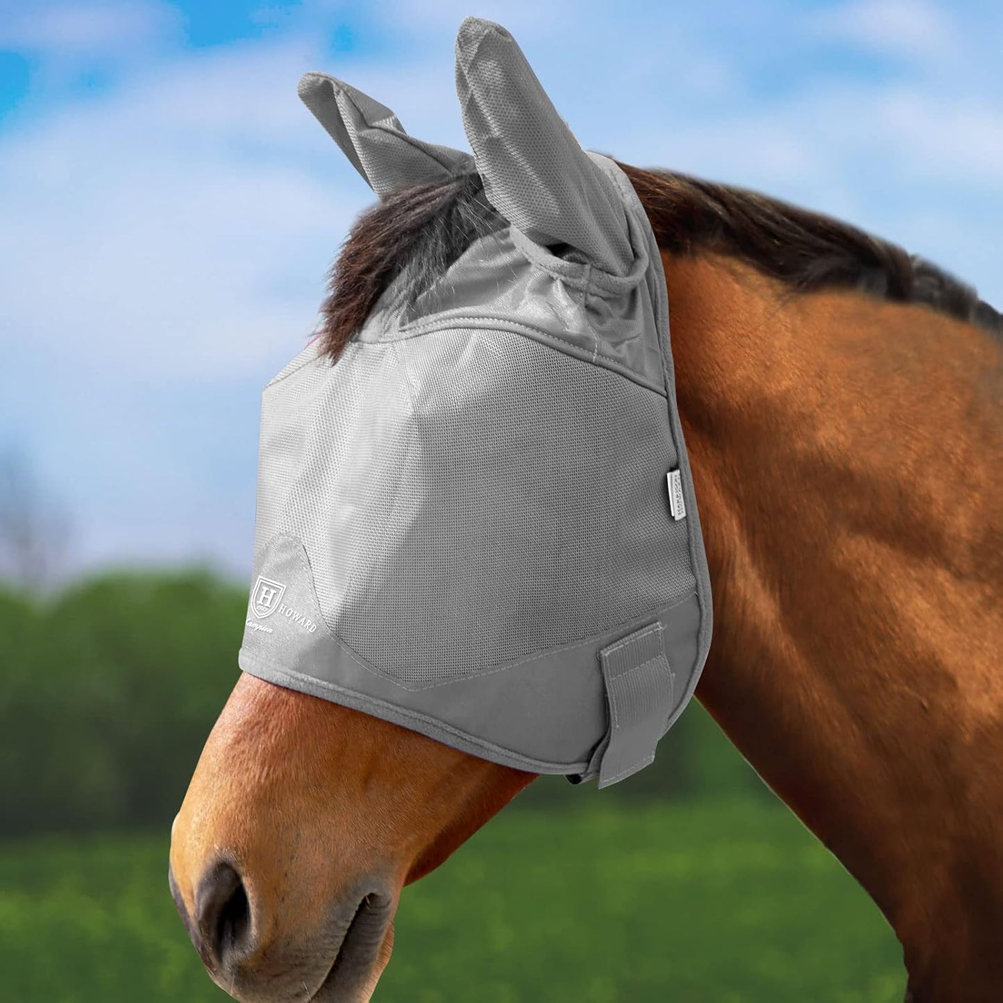 Rear view of Harrison Howard Arabian size horse fly mask