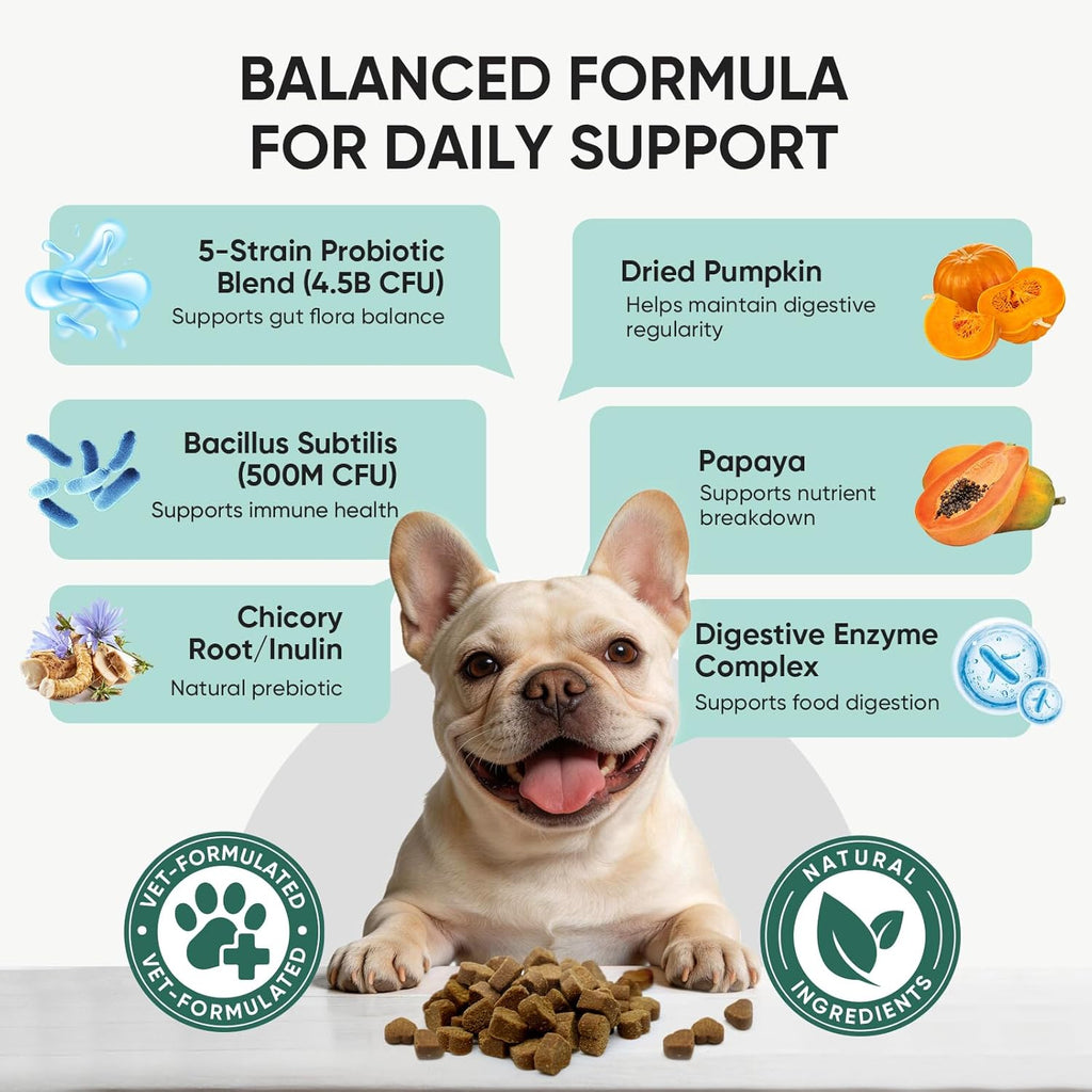 TzzyiC advanced formula dog supplement bottle displaying prebiotics and digestive enzymes.