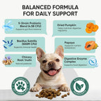 TzzyiC advanced formula dog supplement bottle displaying prebiotics and digestive enzymes.