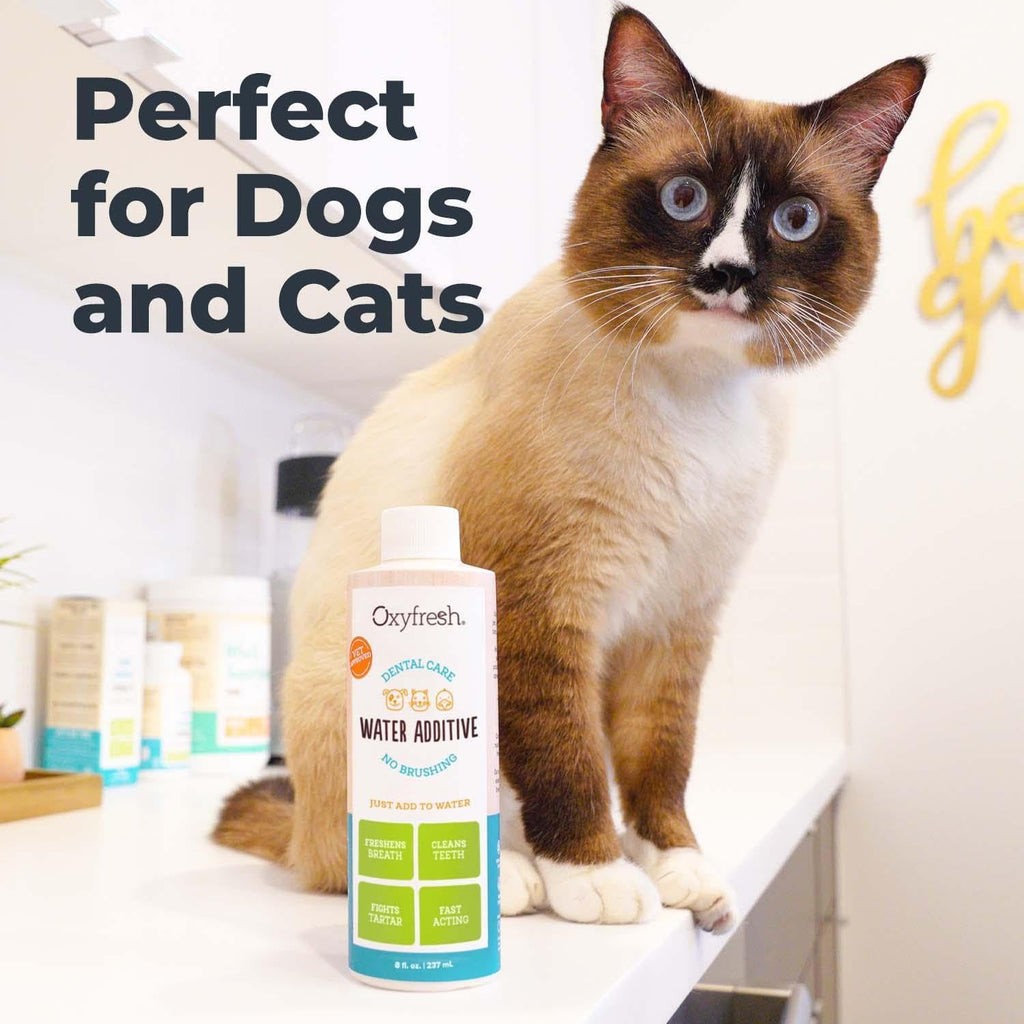 Oxyfresh Premium Pet Dental Care Solution Pet Water Additive: Best Way to Eliminate Bad Dog Breath and Cat Bad Breath - Fights Tartar & Plaque - So Easy, Just Add to Water! Vet Recommended 16 oz. - Image 6