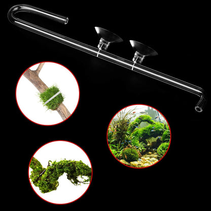 FEBSNOW multi purpose terrarium suction cups holding lightweight accessories on acrylic walls.