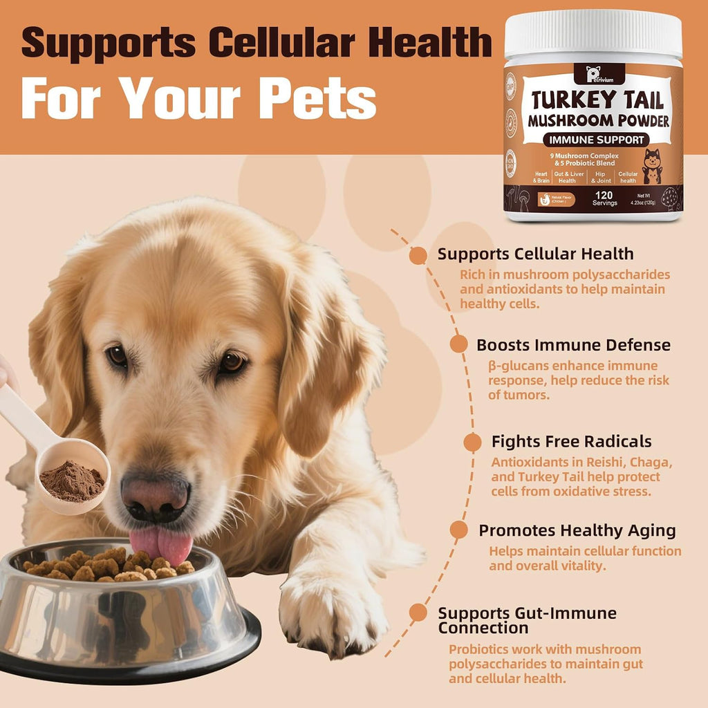 Close up of fine medicinal mushroom supplement powder for cats and dogs.