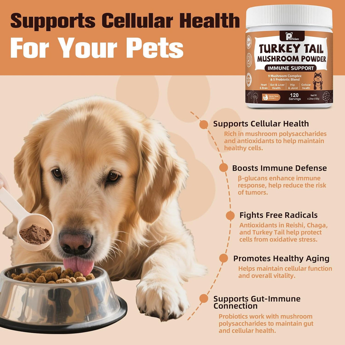 Close up of fine medicinal mushroom supplement powder for cats and dogs.