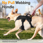 Adjustable strap system on rabbitgoo large dog vest