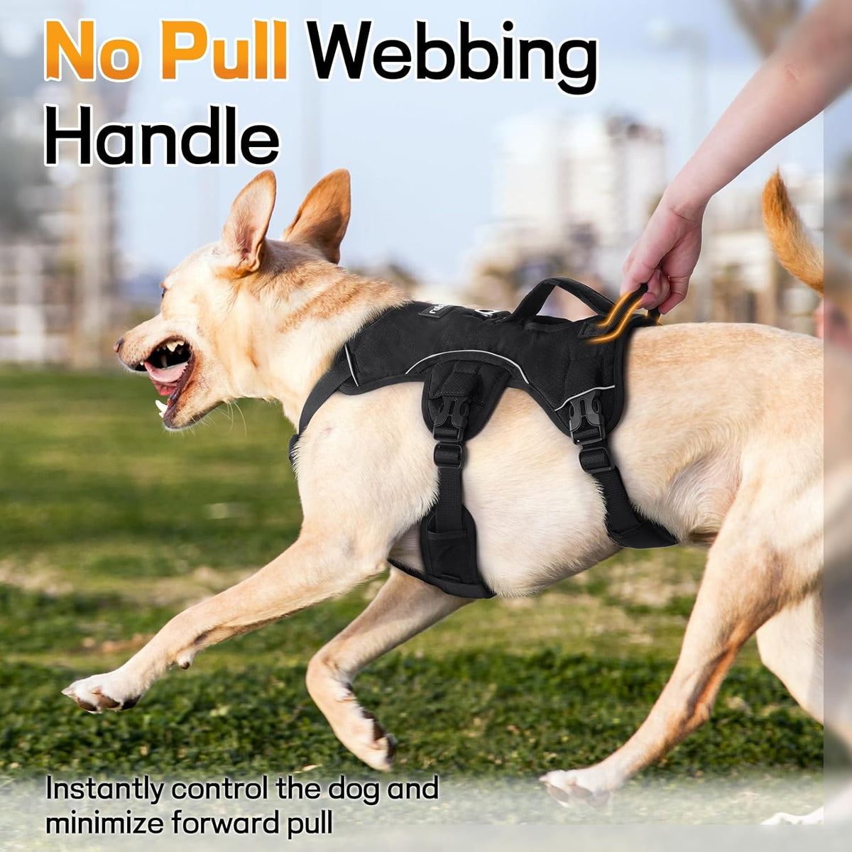 Adjustable strap system on rabbitgoo large dog vest
