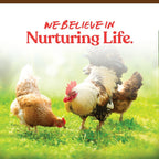 Assorted Manna Pro poultry treat grains and seeds display