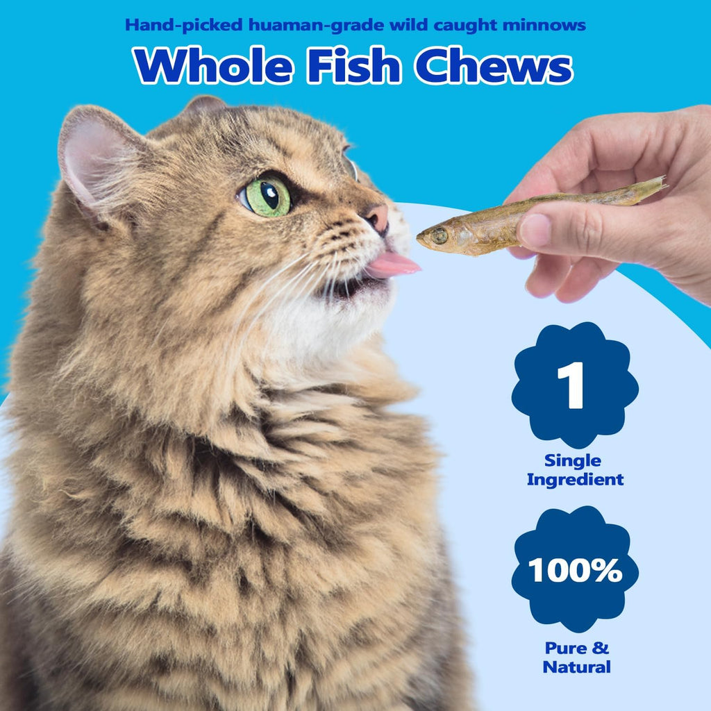 Amzey whole minnow pet treats spilled out showing natural texture