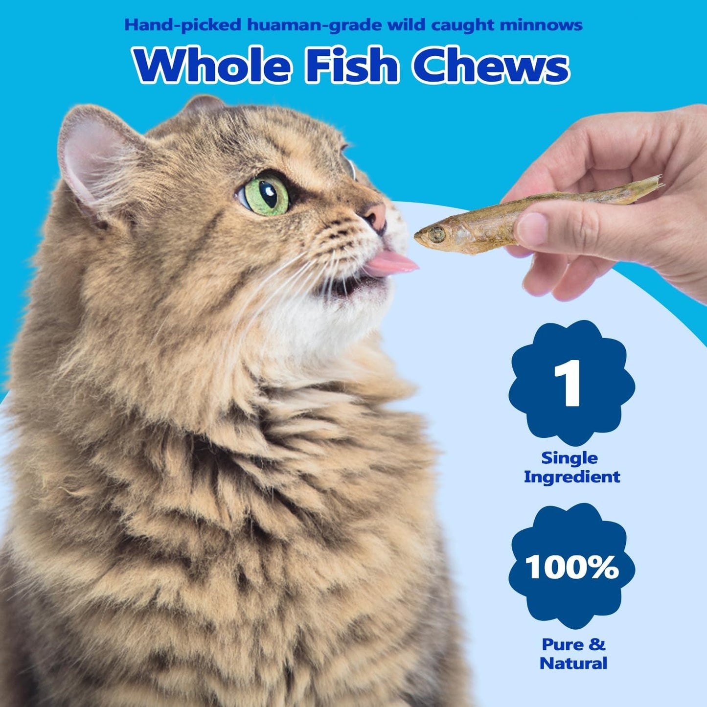 Amzey whole minnow pet treats spilled out showing natural texture
