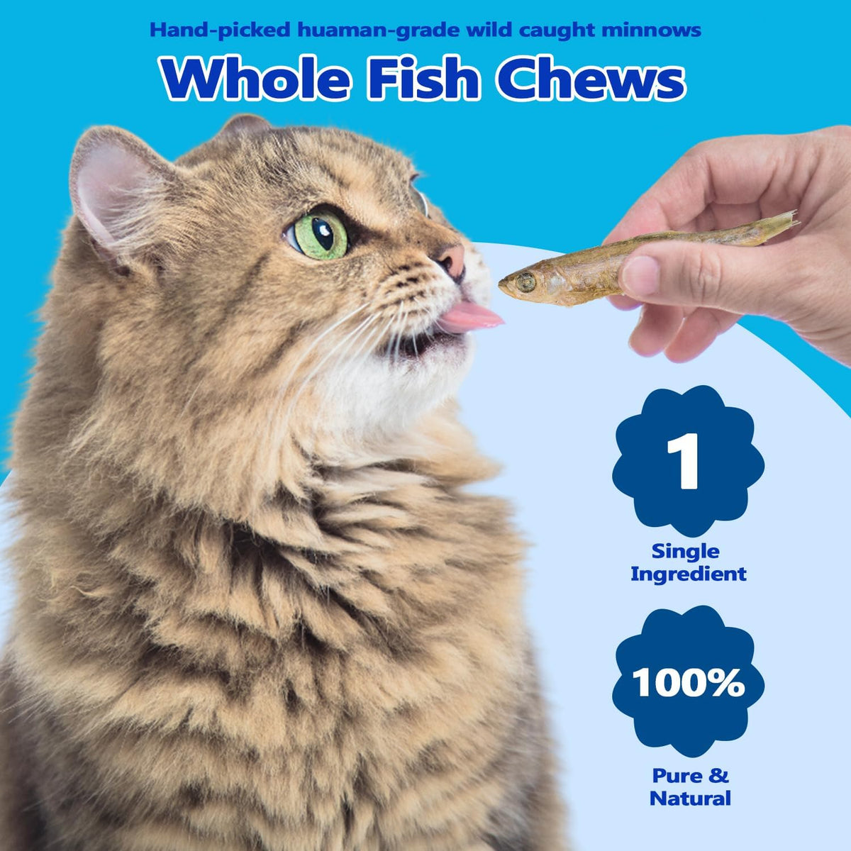Amzey whole minnow pet treats spilled out showing natural texture
