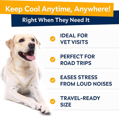 StrellaLab melatonin sleep aid soft chews for dogs