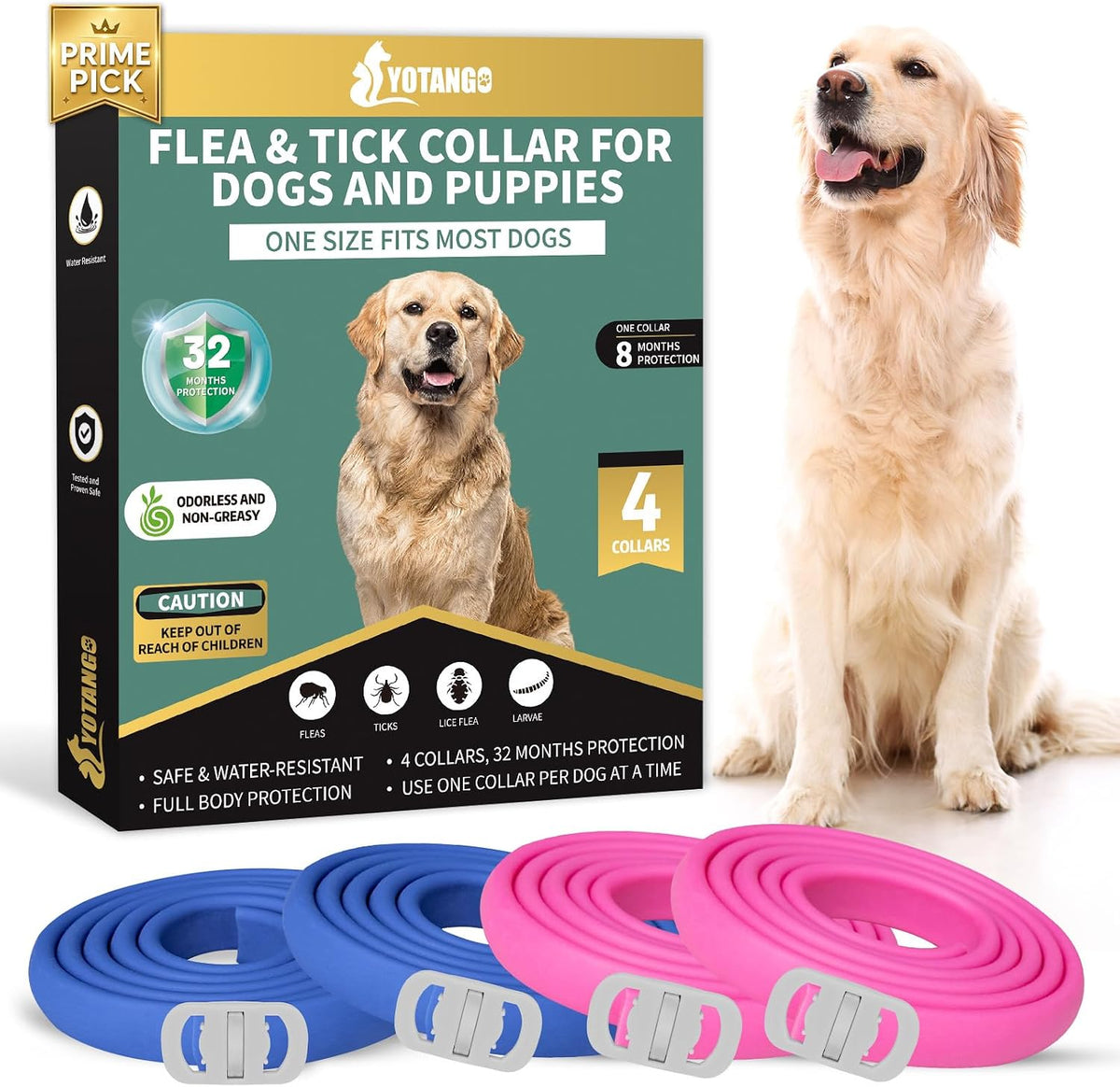 Yotango 4 pack flea and tick collar for dogs in blue and pink