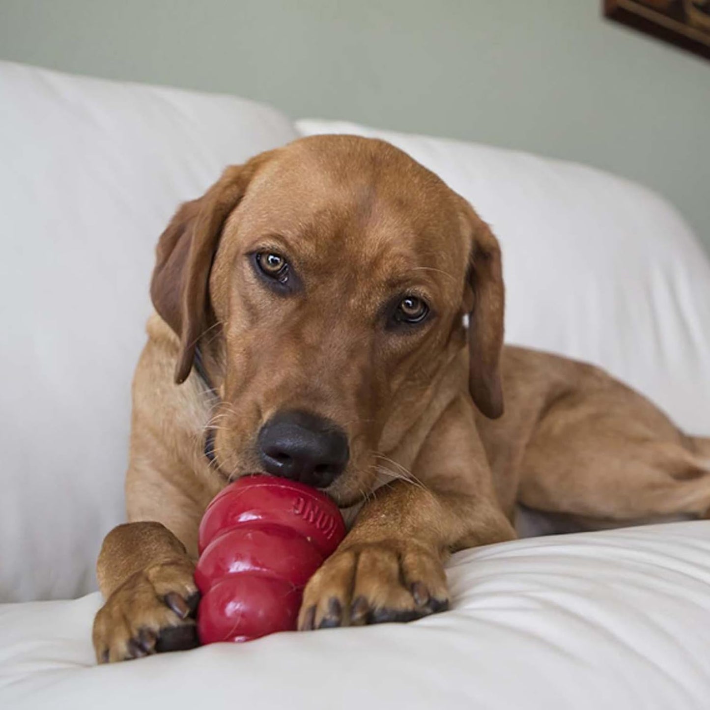 Peanut butter flavor canine stuffing paste for mental stimulation