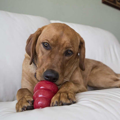 Peanut butter flavor canine stuffing paste for mental stimulation