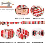 DOGWONG puppy collar with detachable bow tie detail