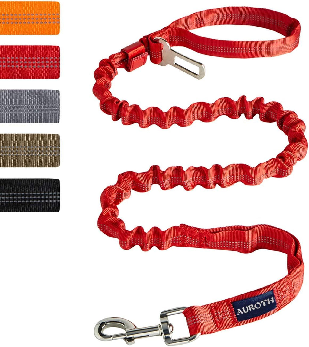 AUROTH black bungee dog leash demonstrating the dual handle design for traffic safety