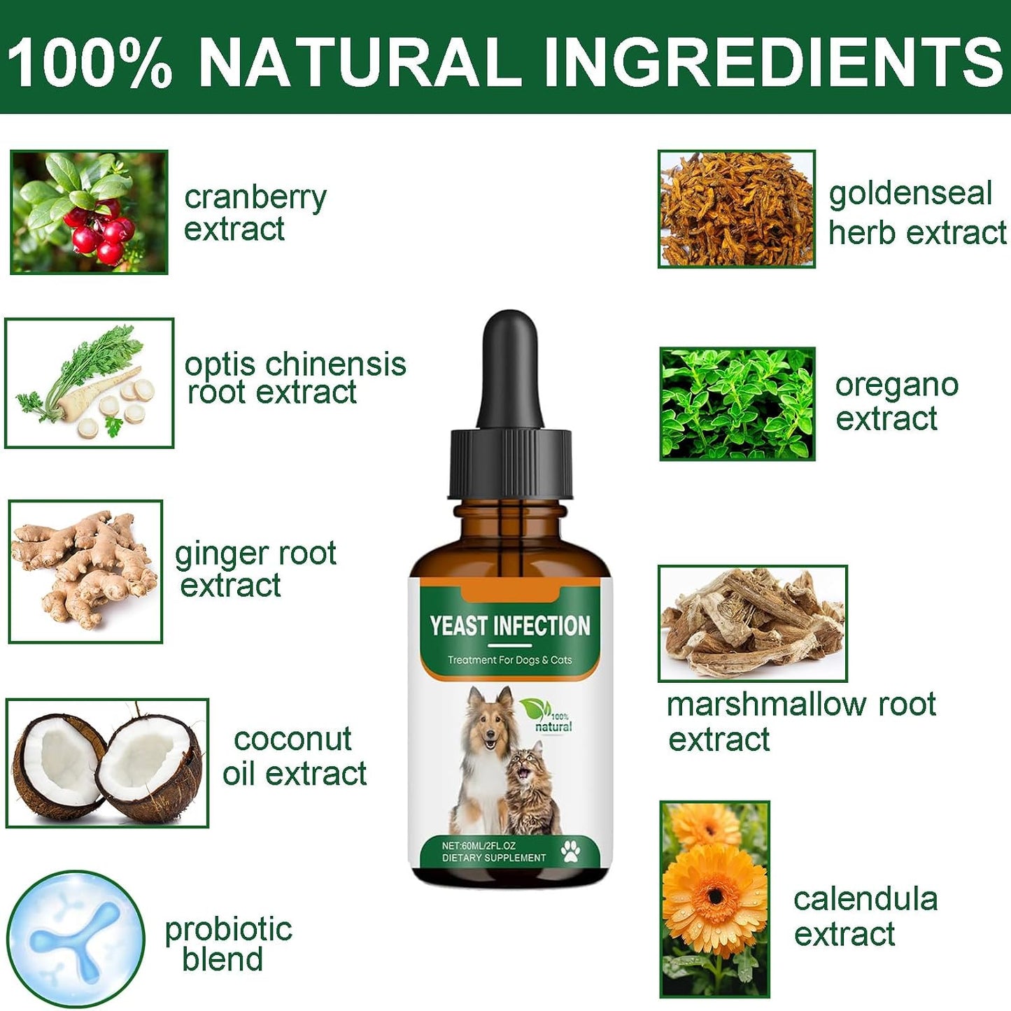 Natural yeast infection treatment drops for dogs showing easy dosage pipette application