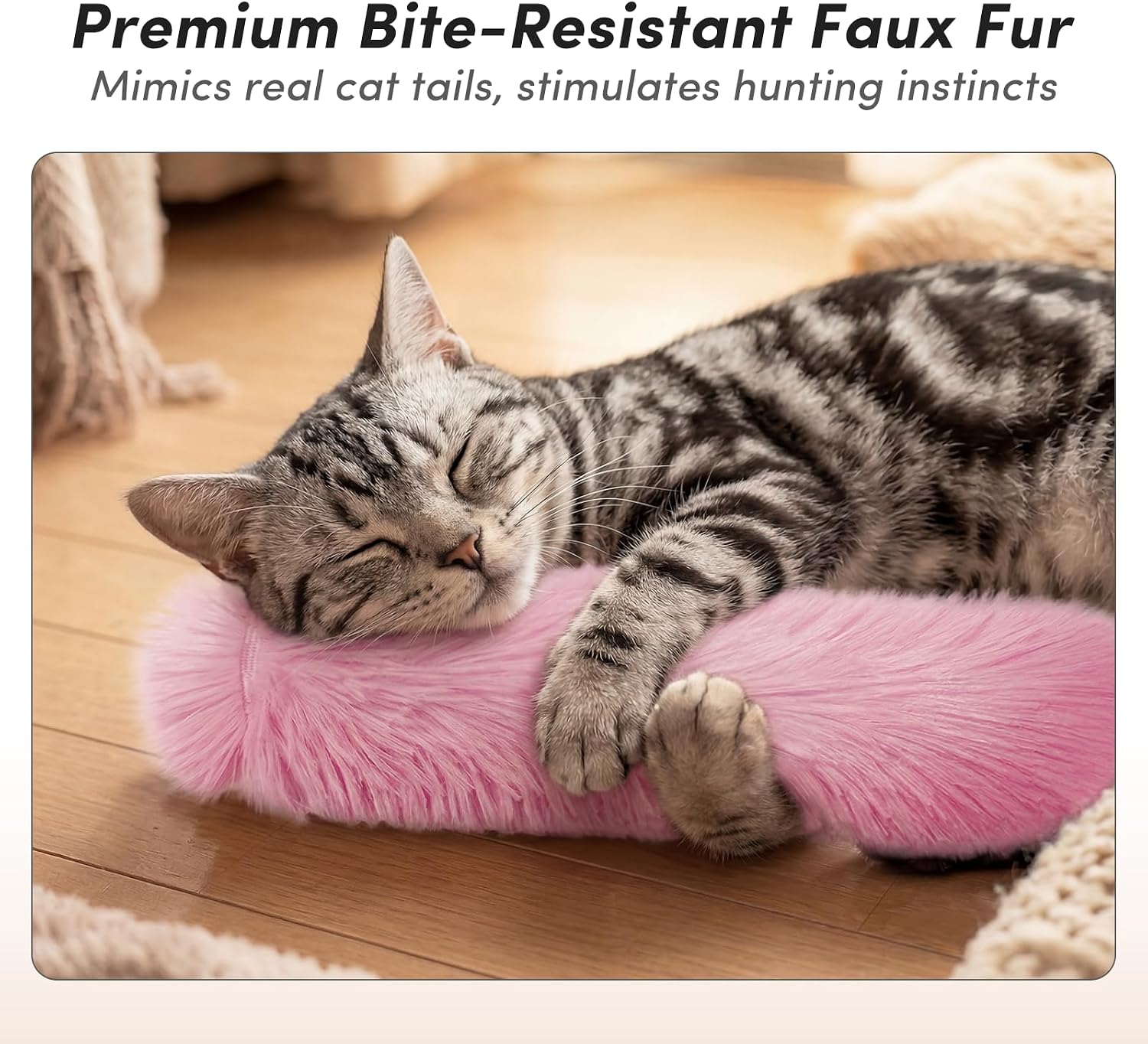 Close up of cat interacting with kicker toy