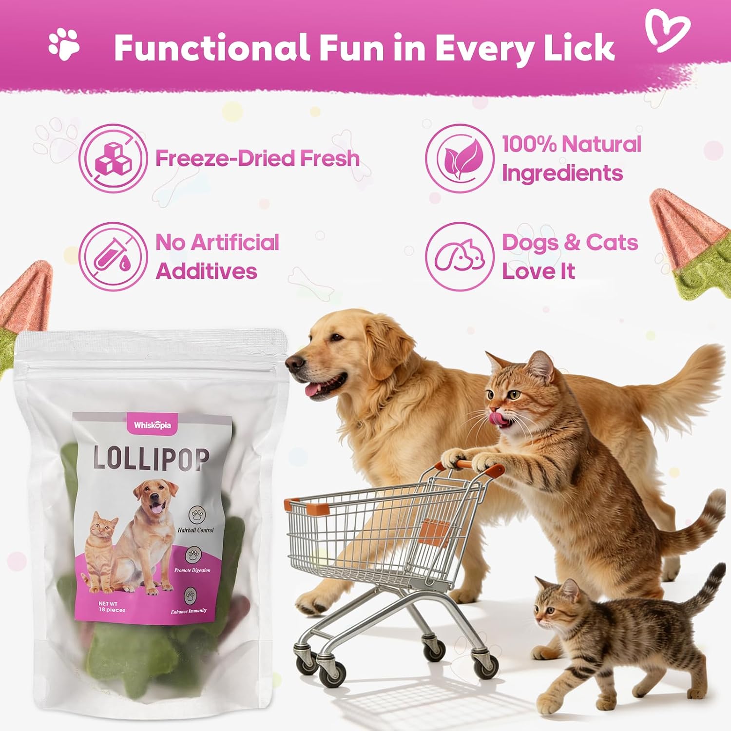 Cat enjoying crunchy Whiskopia chicken watermelon treat