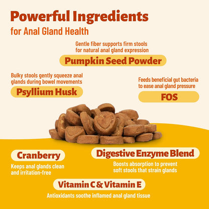 Multibites Cat digestive health chews with pumpkin seed and psyllium husk