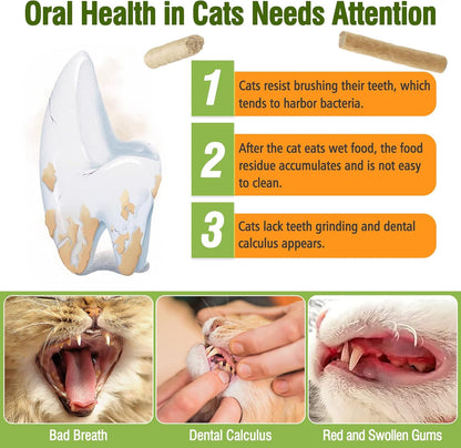 Porous texture close up of cat dental teething treats showing tartar scraping surface.