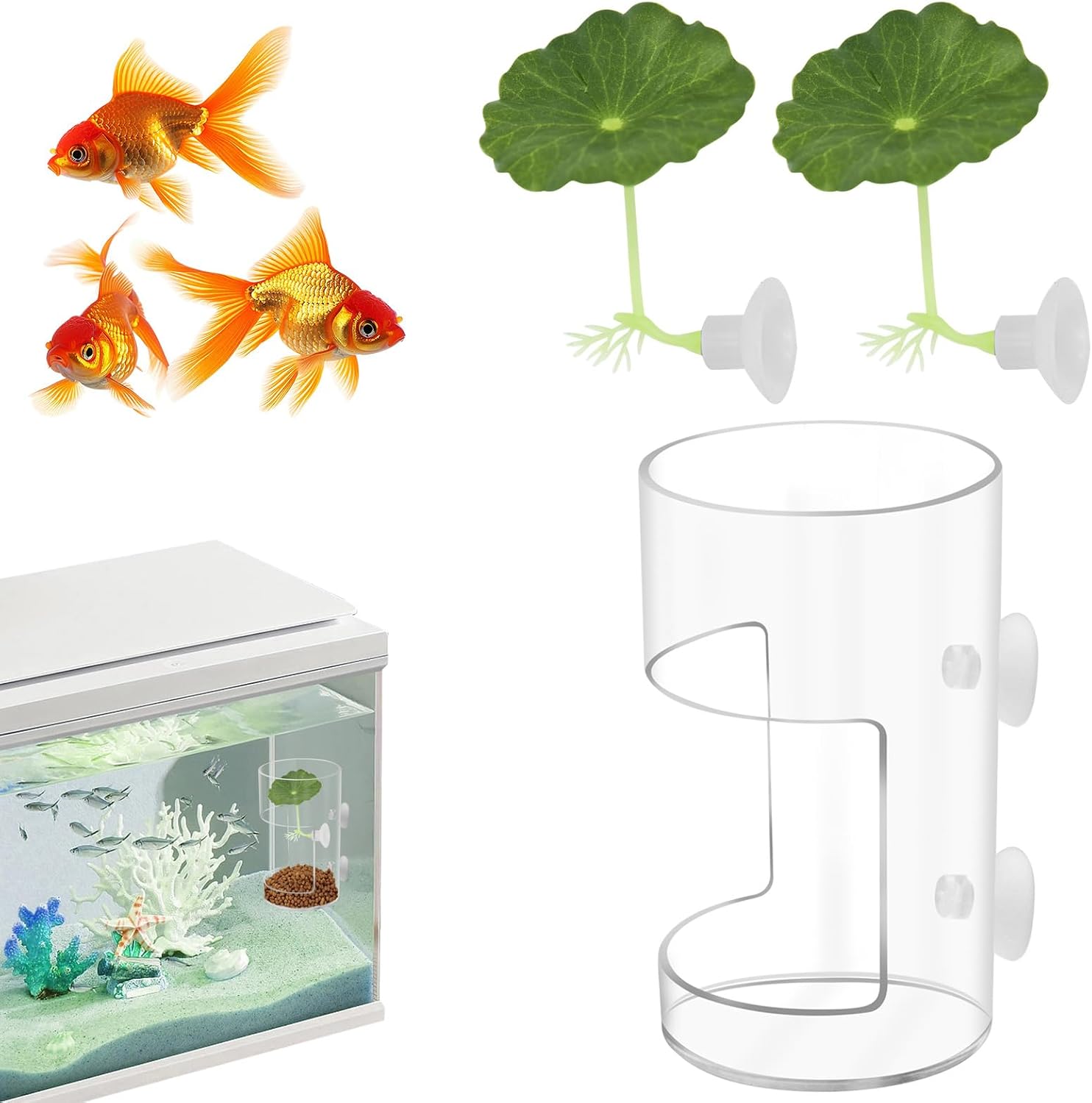 New Fish Tank Feeding Tray with Suction Cup, Feeding Tube Supplies, Tank Divider Supplies, Breeder Box for Aquarium, Round Aquariums & Fish Bowls Accessories - Image 9