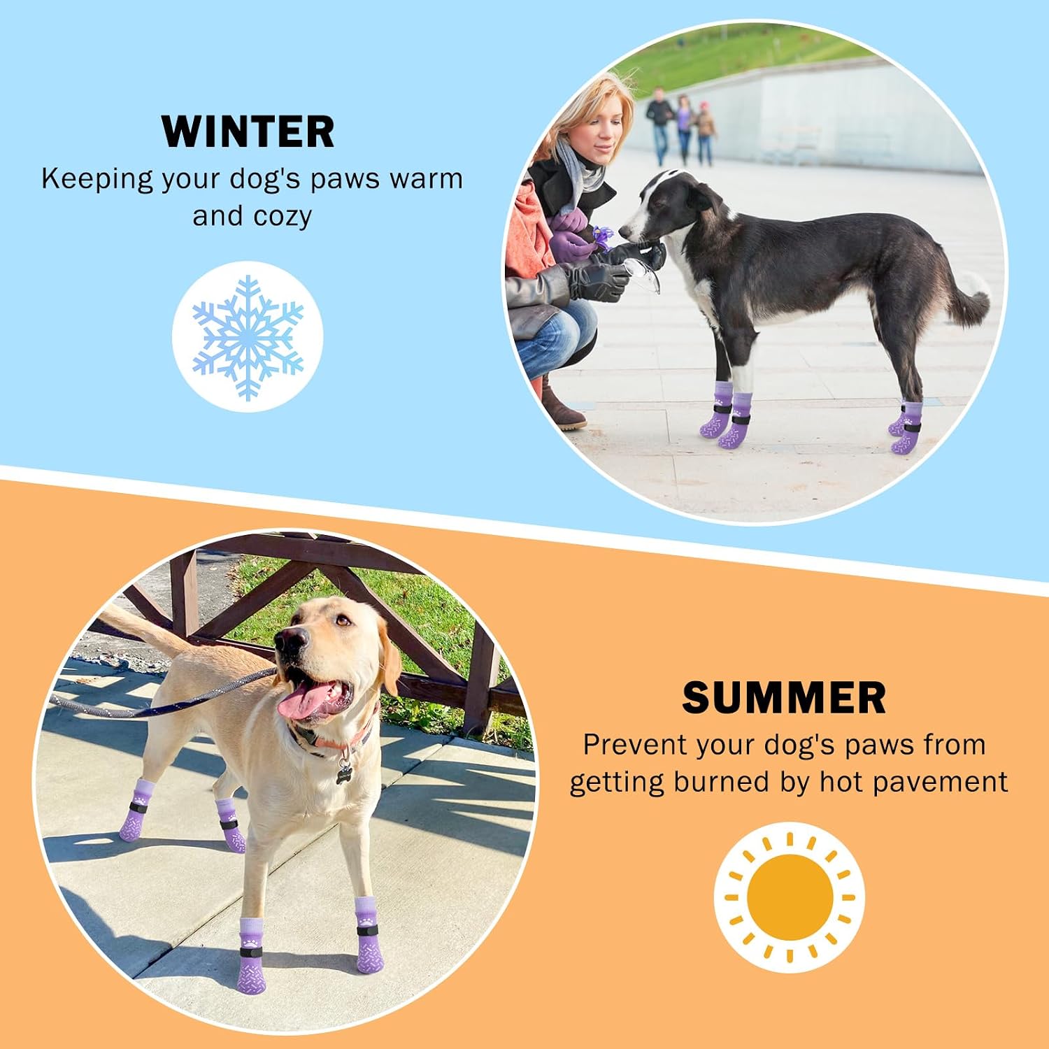 Senior dog walking comfortably with Scenereal grip socks