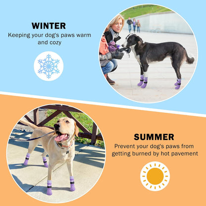 Senior dog walking comfortably with Scenereal grip socks