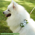 Close up of PAWLARISPETS elegant floral wedding corsage