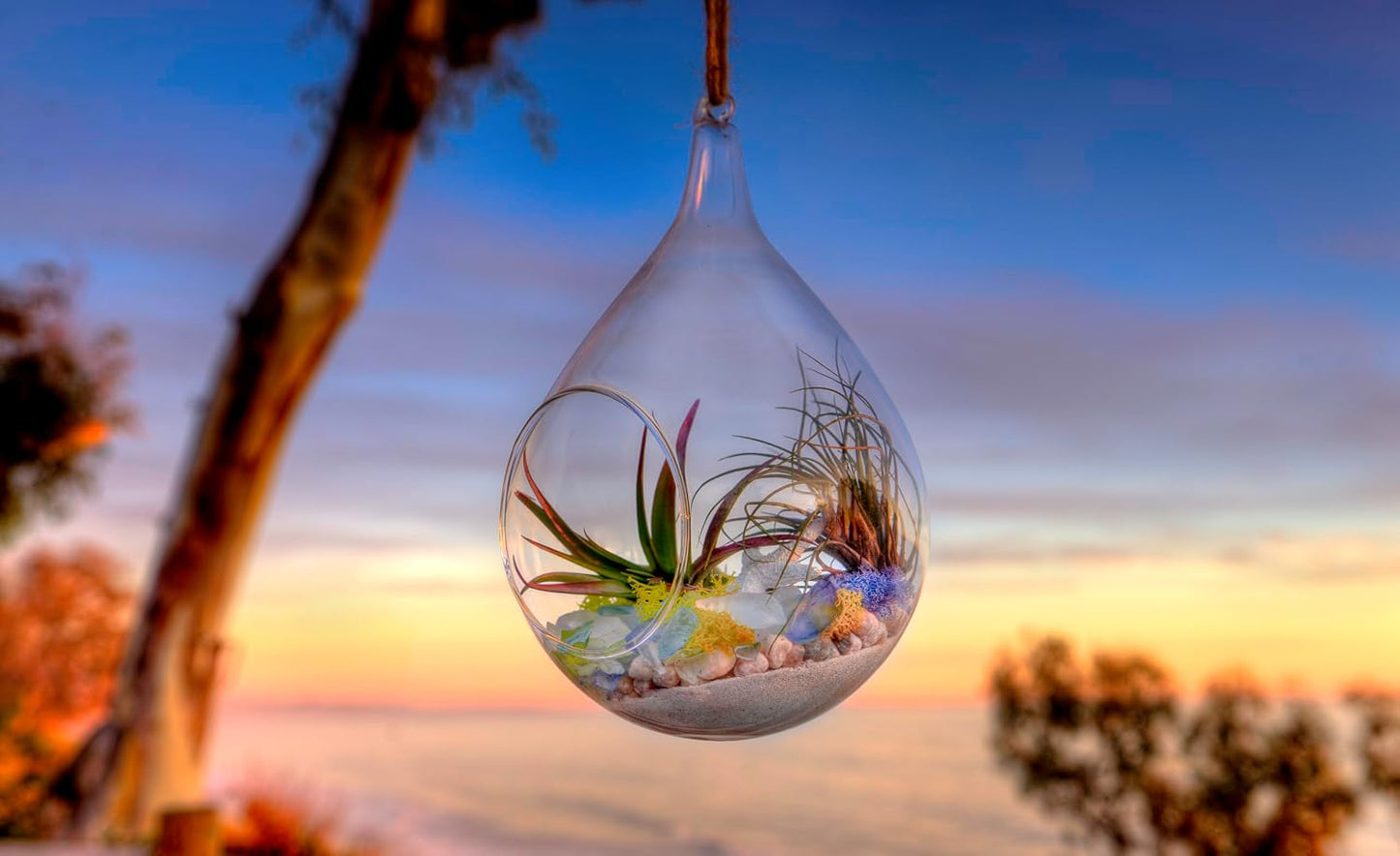 SuperMoss sand used as vase filler for home decor