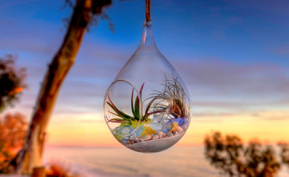 SuperMoss sand used as vase filler for home decor