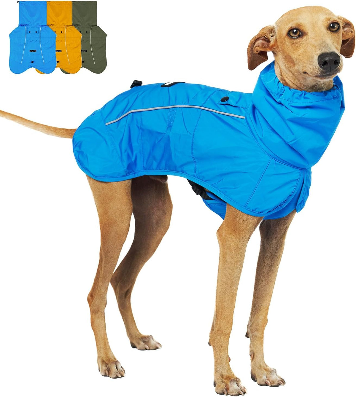 Tuff Pupper waterproof dog raincoat front view blue extra small