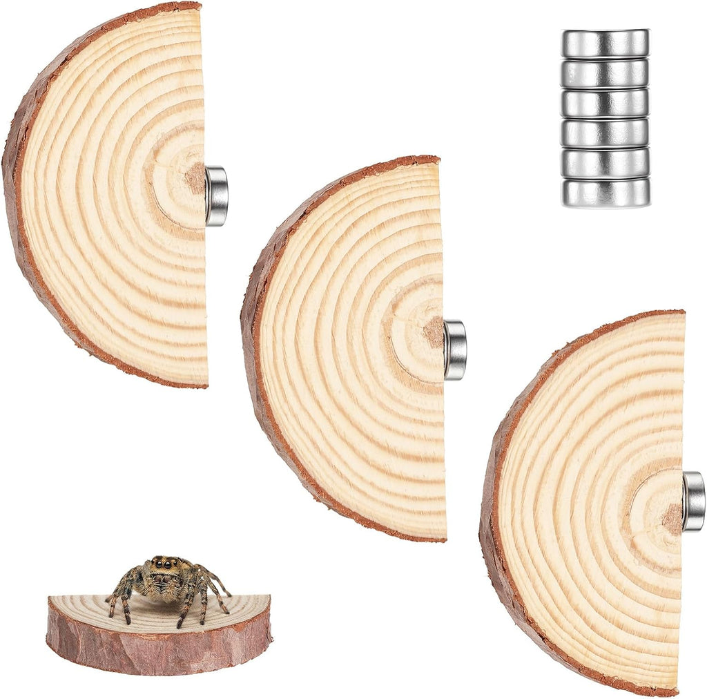 Jumping Spider Accessories, Jumping Spider Enclosure Accessories Kit Habitat Decor, 3Pcs Wood Decor, Fun Enclosure for Climbing & Hiding - Image 1
