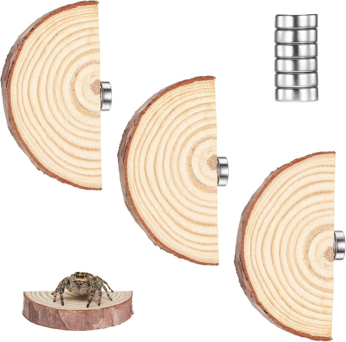 Jumping Spider Accessories, Jumping Spider Enclosure Accessories Kit Habitat Decor, 3Pcs Wood Decor, Fun Enclosure for Climbing & Hiding - Image 1