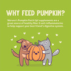 Single serving Weruva Pumpkin Patch Up pumpkin pouch packaging