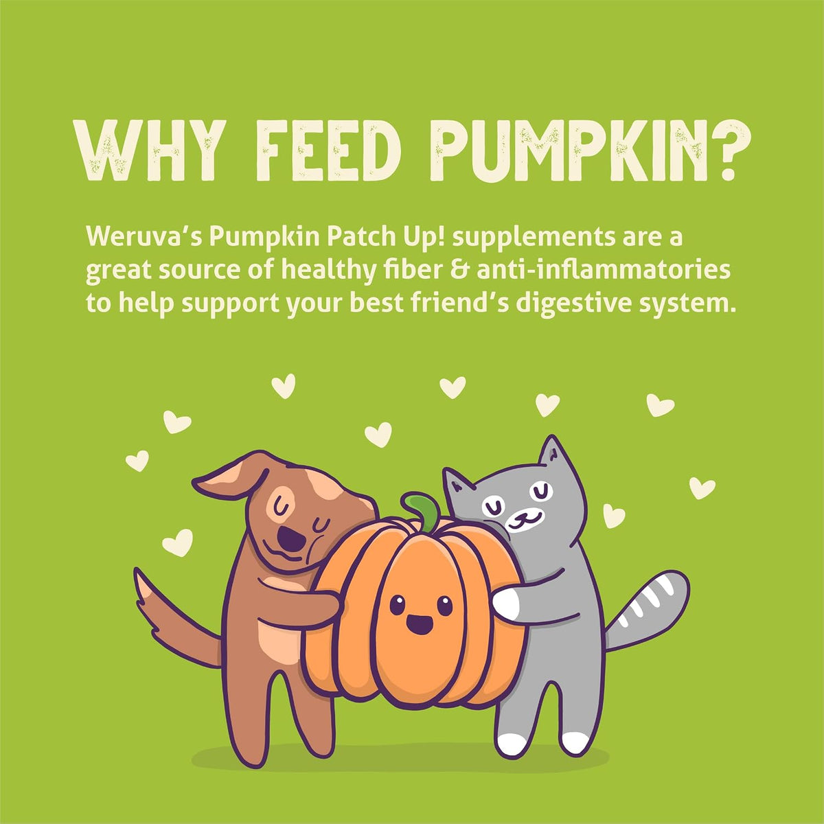 Single serving Weruva Pumpkin Patch Up pumpkin pouch packaging