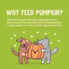 Gluten free pumpkin supplement for dogs and cats