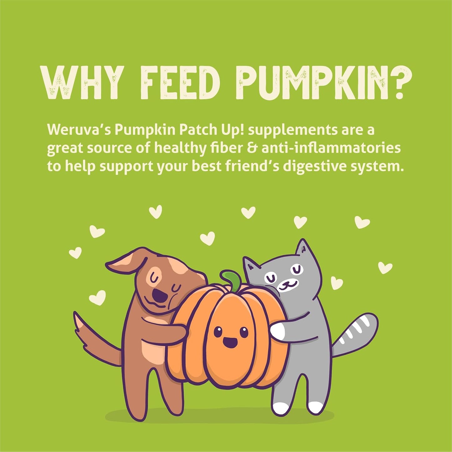 Group of 12 Weruva Pumpkin Patch Up pouches for pets