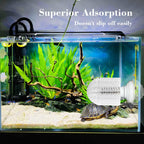 White turtle tank scratching brush attached to aquarium glass wall