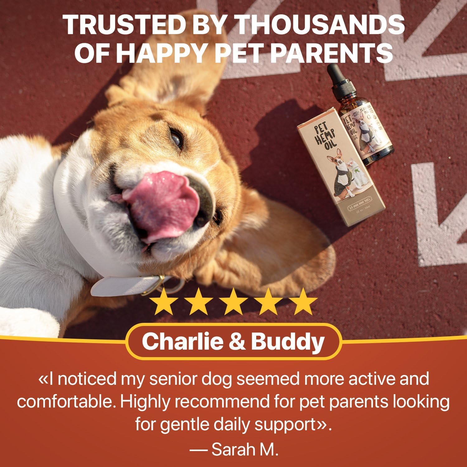 Charlie & Buddy pet wellness oil bottle showing application dosage guidelines for dogs and cats