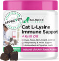 Balanced Breed L-Lysine Cats Immune Support Soft Chews front view