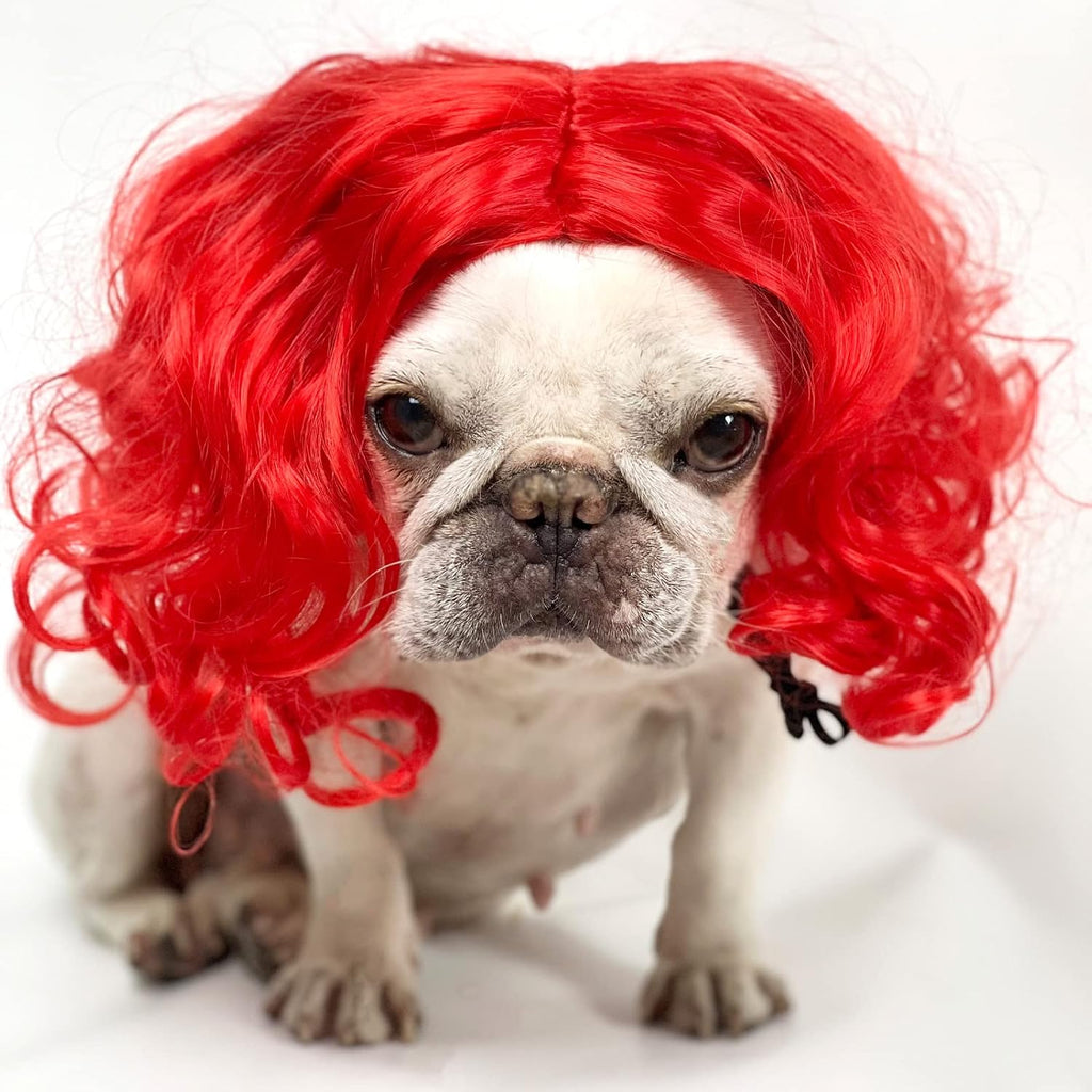 TESSVEYA funny pet party costume hair accessory with DIY trim styling options